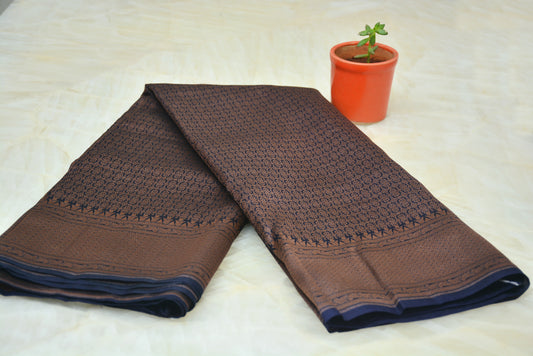 Pure Tussar Saree with Banarasi Brocade