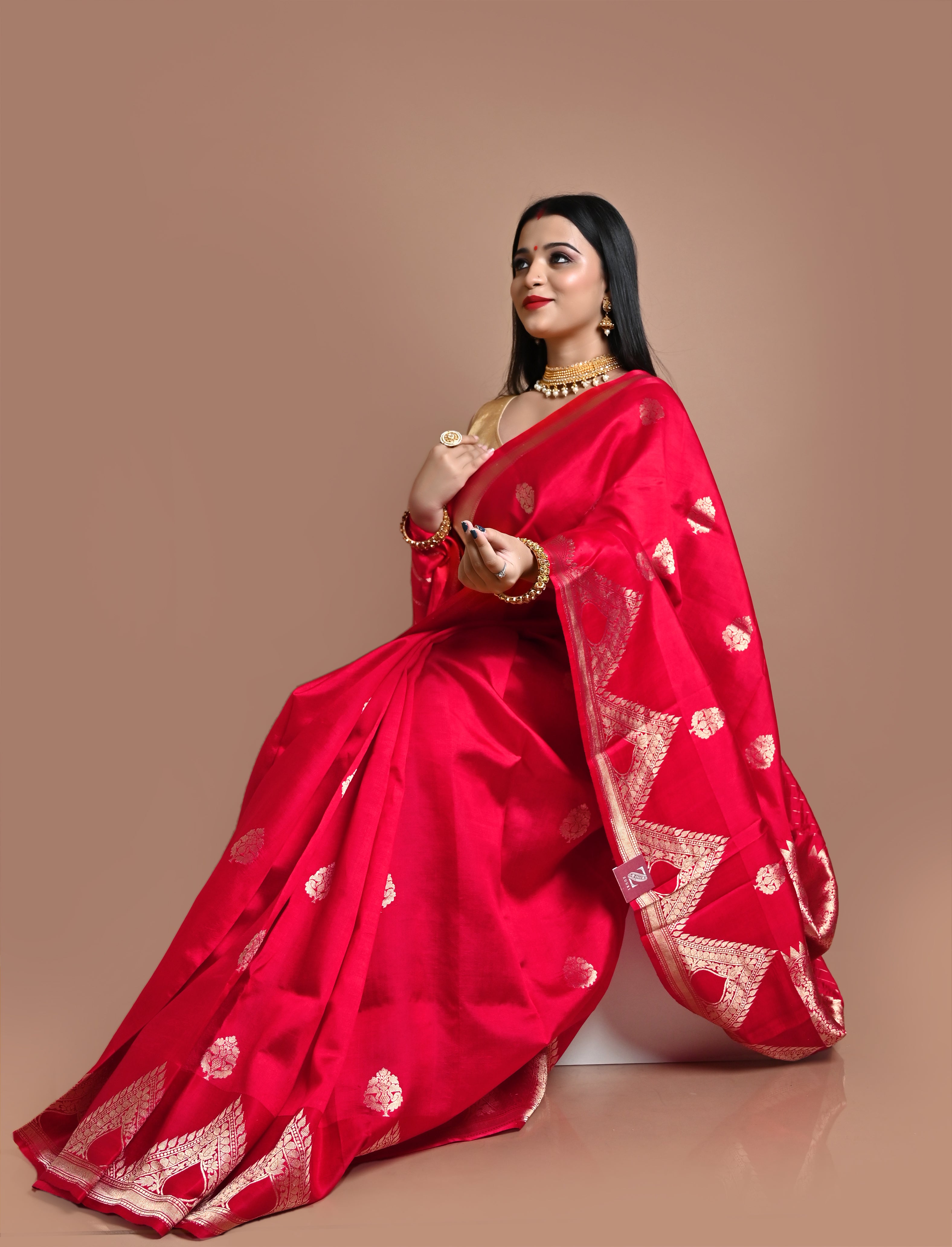 Pure Banarasi,Red Raw Mango  Silk  Saree
